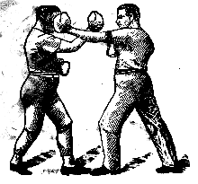 boxers.gif (8597 bytes)