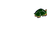 turtle.gif (11412 bytes)